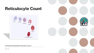 Reticulocyte Test Uses and Interpretation [upl. by Neenad]