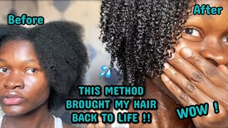 Making my 4c hair manageable and curly with the Gina Curl [upl. by Haslam847]