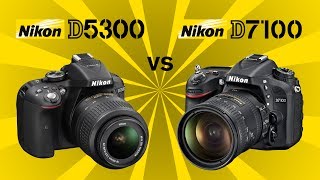 Nikon D5300 vs Nikon D7100 [upl. by Ddene]