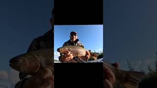 Fly fishing action in murky water trout flyfishing fish fishing troutfishing [upl. by Tiloine]