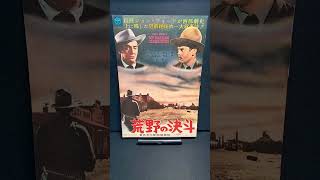 荒野の決斗（My Darling Clementine）1946年 ジョンフォード ヘンリーフォンダ ビクターマチュア ウォルターブレナン 【映画広告：雑誌編：53枚目】【ショート：1937本目】 [upl. by Ainevuol]