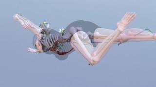 Task 26  Biomechanical simulation of Crawl swimming [upl. by Neelsaj56]