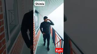 Kufri Shimla 🌴shorts youtubeshorts shimla [upl. by Lot]