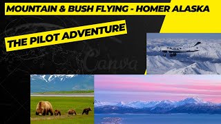 Homer Alaska  Mountain amp Bush Plane Flying thepilotadventure1038 shorts alaska aviation [upl. by Lovmilla]