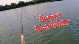 Plovak Sava I Stap 11m [upl. by Basir]