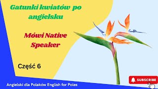 Fiszki kwiaty po angielsku Część 6 film interaktywny Mówi Native Speaker [upl. by Asyla]