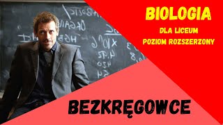 Bezkręgowce Biologia rozszerzona do matury [upl. by Gilges249]