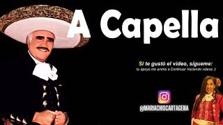 Vicente Fernández  Mujeres Divinas A Capella [upl. by Annaillil890]