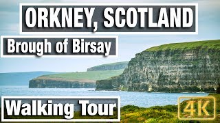 4K City Walks Orkney Island  Brough of Birsay Coastal Walk  Virtual Walk Walking Treadmill Video [upl. by Jahdal]