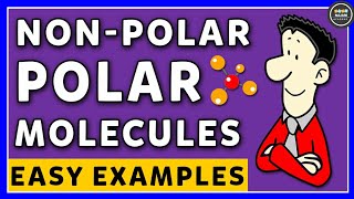 Polar And NonPolar Molecules  Chemistry [upl. by Kevon]