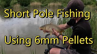 Short Pole  Using 6mm Pellets [upl. by Lowrance]