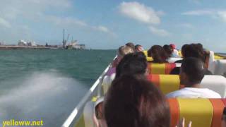 Thriller Speed Boat Miami  50MPH [upl. by Cochran]