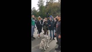 Verhaftung von Attila Hildmann auf der Schweigemarsch Demo vom 10102020 [upl. by Ybloc]