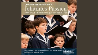 JohannesPassion BWV 2451 32 Aria Mein teurer Heiland [upl. by Edgerton]