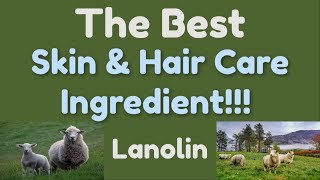 Lanolin The Super Gentle Ultimate Hair and Skincare Ingredient [upl. by Mcintyre]