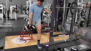 Supported contralateral DB Bulgarian split squat [upl. by Lipkin]