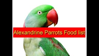 Alexandrine Parrot Food List Complete Video Must Watch [upl. by Swigart]