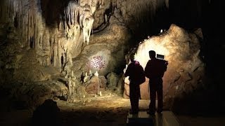 Descente dans la grotte Chauvet nouveau patrimoine mondial [upl. by Gaves451]