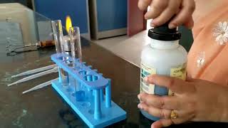 benedicts test for carbohydrates [upl. by Naehs]