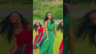 OROMO ETHIOPIA MUSIC SHAGOYE HARARGE eth music duet visionentertainment4507 [upl. by Ginny]