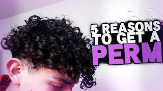 5 Reasons you SHOULD get a Perm   story time 😳 [upl. by Hinson17]