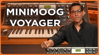 The Minimoog Voyager – A Modern Classic in Analog Synth Sound [upl. by Edak]