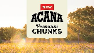 ACANA Premium Chunks Wet Dog Food  Now Serving [upl. by Dane]