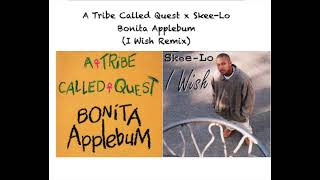 A Tribe Called Quest x SkeeLo  Bonita Applebum I Wish RemixMashup [upl. by Atoiyanap]