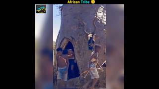 African Tribe facts 🫠trendingshorts viralshort facts shorts FactsMine [upl. by Rickie318]