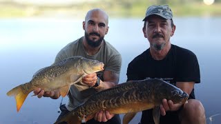 CONCURSO TEJONERAS  COLETAS CARP [upl. by Alonso348]