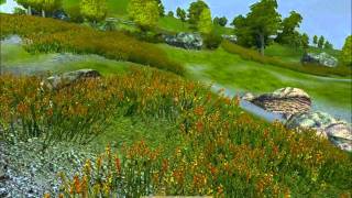 Oblivion Mod Review quotRealistic Waterquot and quotLush and Gaudy Landscapequot [upl. by Aylward736]