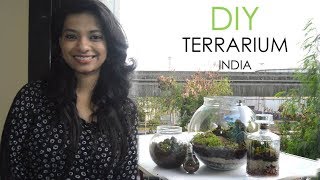 Terrarium DIY India l Miniature garden in glass bowl l Indoor closed terrarium basics l Ask Iosis [upl. by Nesnar914]