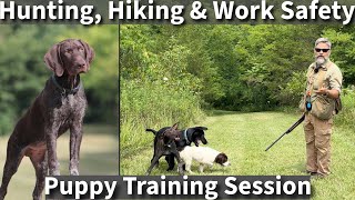 Off Leash Hiking Hunting and Work Safety Training Session with Three Puppies [upl. by Twila]