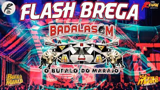 BÚFALO DO MARAJÓ  BAILE DA SAUDADE  FLASH BREGA  BADALA SOM [upl. by Ilysa]