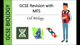 GCSE Biology Cell Specialisation [upl. by Natassia]