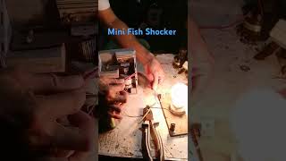 Mini Fish Shocker electricfishing [upl. by Olvan]