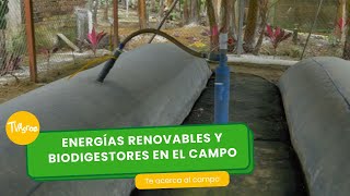 Energías renovables y biodigestores en el campo TvAgro por Juan Gonzalo Angel Restrepo [upl. by Ahseela636]