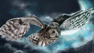 Native American Sleep Music  Great Owl Woods [upl. by Allemac]