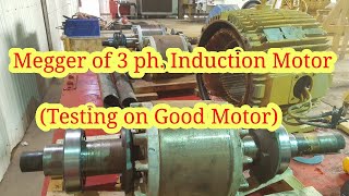 Megger Test of Motor Motor is in good condition [upl. by Jacie680]