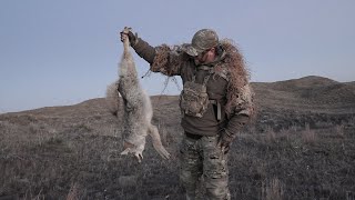 Watch the most EPIC 4K Coyote Hunting TRIPLE  ONeill OPS Season Opener [upl. by Fatimah393]