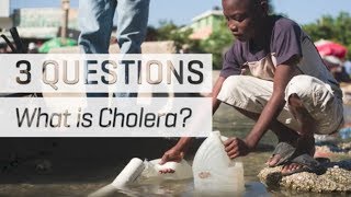 What is Cholera [upl. by Zelda]