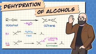 Dehydration of Alcohols  Synthesis of Alkenes [upl. by Aiekam]