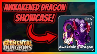 Awakened Dragon Showcase  Elemental Dungeons [upl. by Ellerehs296]