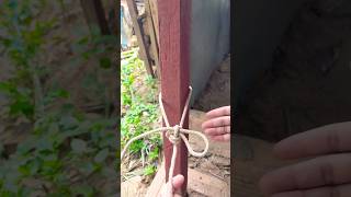 How to knot tie rope [upl. by Uranie]