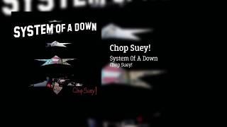 Chop Suey Flac [upl. by Adranoel]