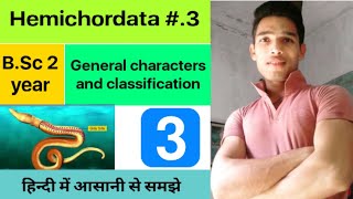 General characters and classification of Hemichordata  BSc 3rd Year Zoology 5th Semester 2nd Paper [upl. by Pickett]