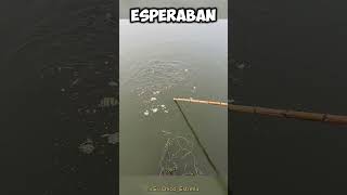 Usaron una SANDÍA para pescar PECES 😯👏 BeepTrap [upl. by Eitsyrc]