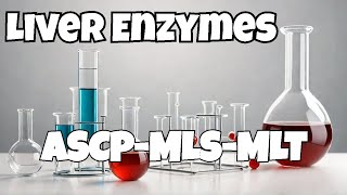 ASCP  MLS  MLT  Chemistry  Clinical Enzymes  Part 2  Liver enzymes [upl. by Ddarb]