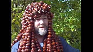 How to prepare for the World Conker Championships  Comical Interview [upl. by Gawain983]