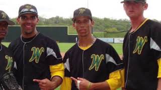 Andrelton Simmons  2010 Draft Video  2nd Round  Western Oklahoma St College [upl. by Culbert]